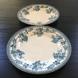 Pair of Terre de Fer plates