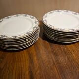 Limoges porcelain tableware set