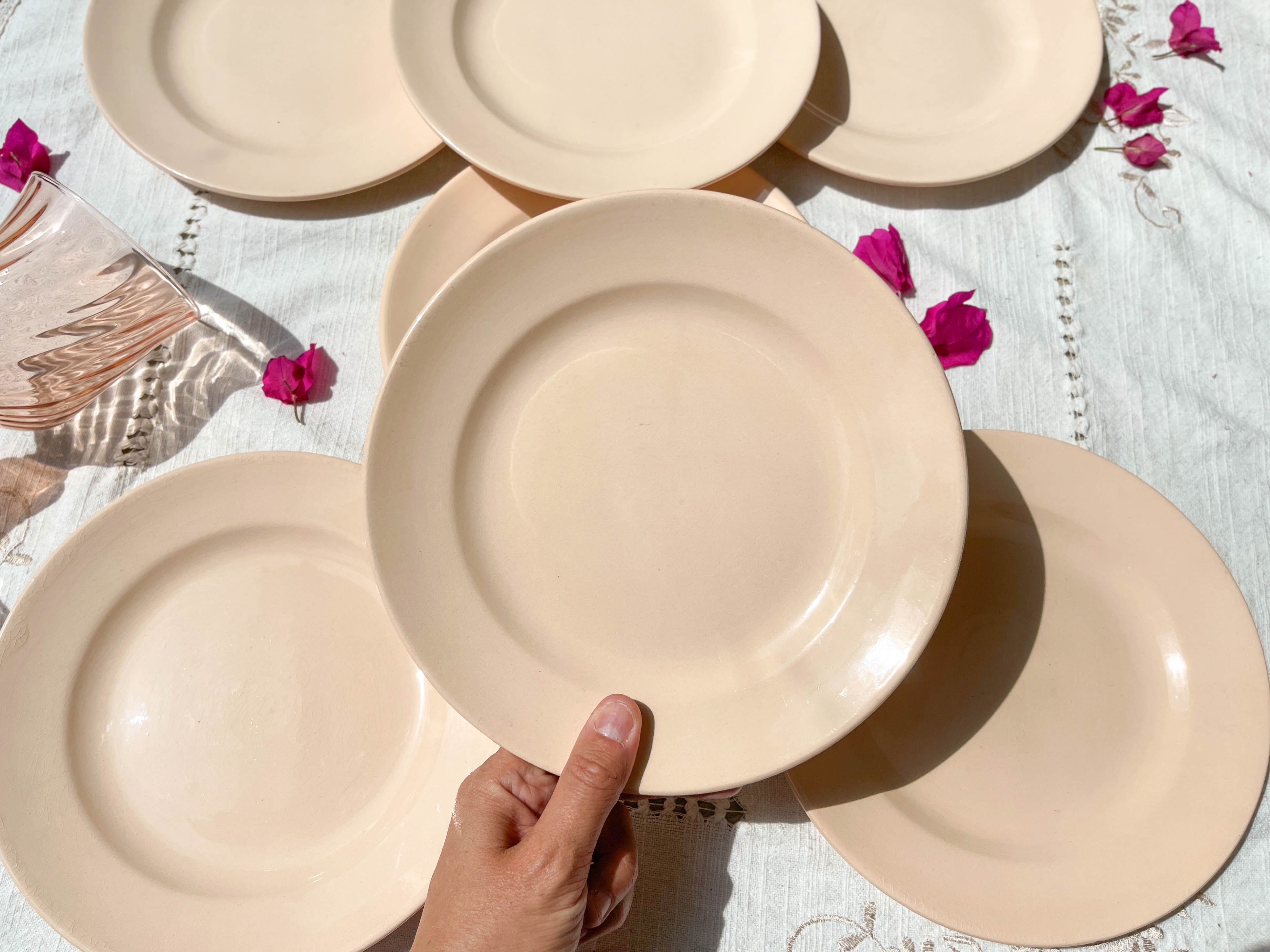 7 Small dessert plates Rose Digoin Sarreguemines