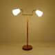 Mid-century organic floor lamp in birch and brass, Sweden, 1950s