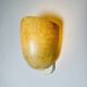 Model Nd11 Fiberglass Wall Lamp By Louis Kalff For Philips, The Netherlands 1950S