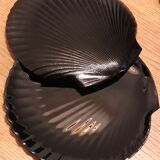 Black shell plates