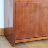 Scandinavian shoe cabinet