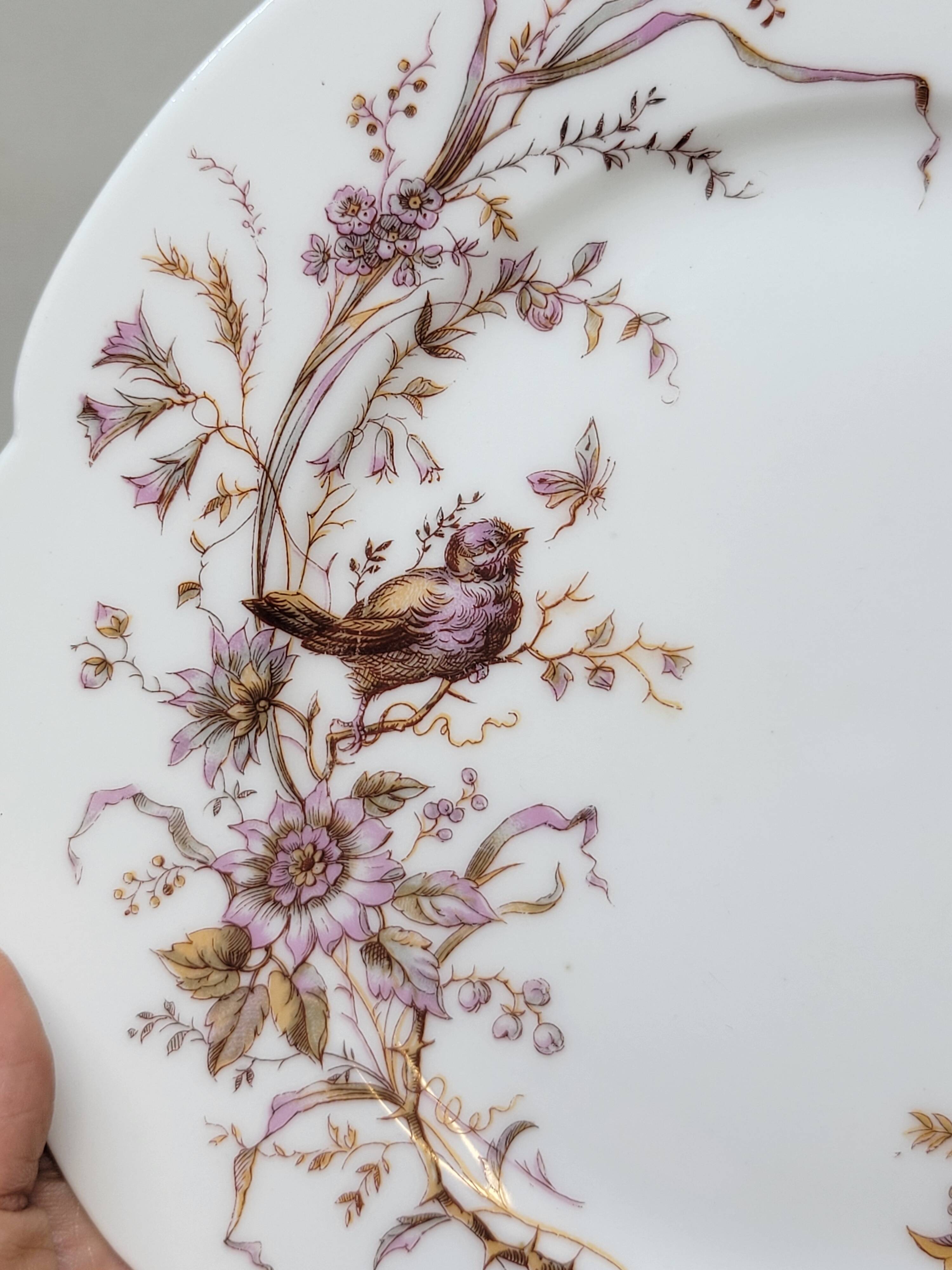 6 Superb Antique 19th Century White Porcelain Plates with Bird Decor