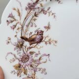 6 Superbes Assiettes Anciennes XIXème En Porcelaine Blanche Décor Oiseaux