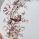 6 Superbes Assiettes Anciennes XIXème En Porcelaine Blanche Décor Oiseaux