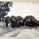 André Duculty (1912-1990) Ink wash on paper "Saint Germain en Laye, la terrasse" Signed