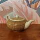 Villeroy and Boch Mettlach: Bern model teapot