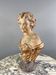 Terracotta Female Bust, Italy, 20th Century