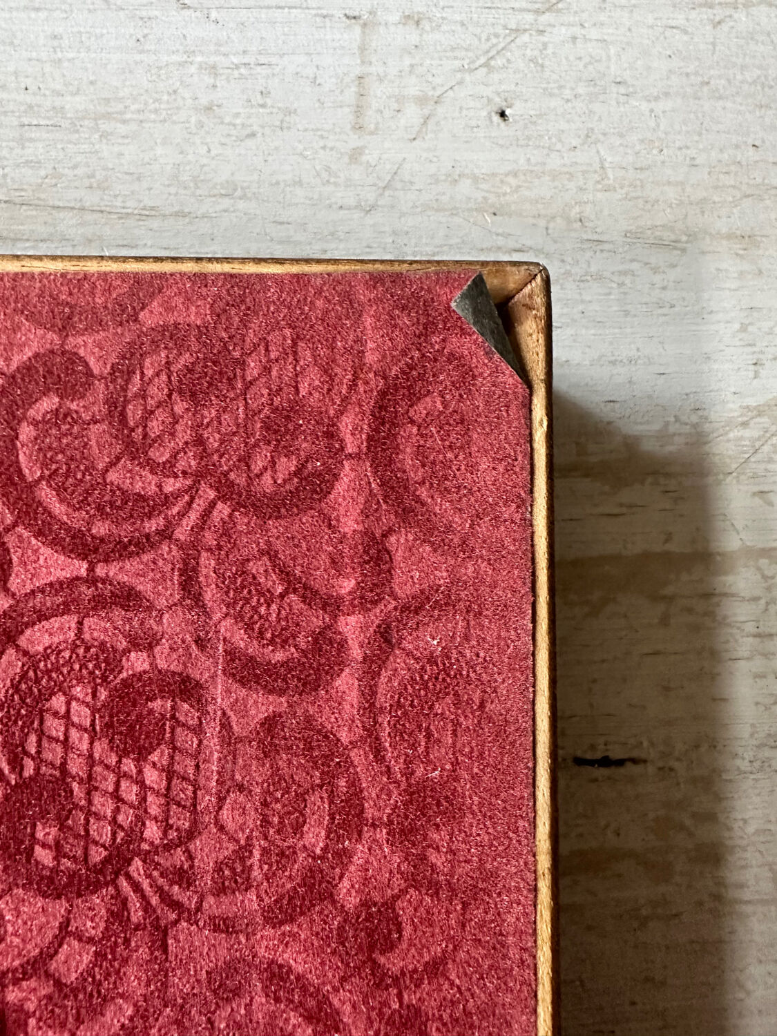 Antique illustration of a bird. Antique framed illustration of a bird.