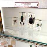 Old stainless steel window