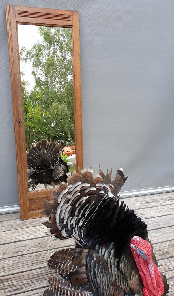 Art deco door mirror 88x174cm