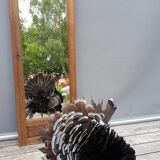 Art deco door mirror 88x174cm