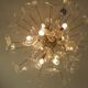 Transparent butterfly murano glass sputnik oval chandelier