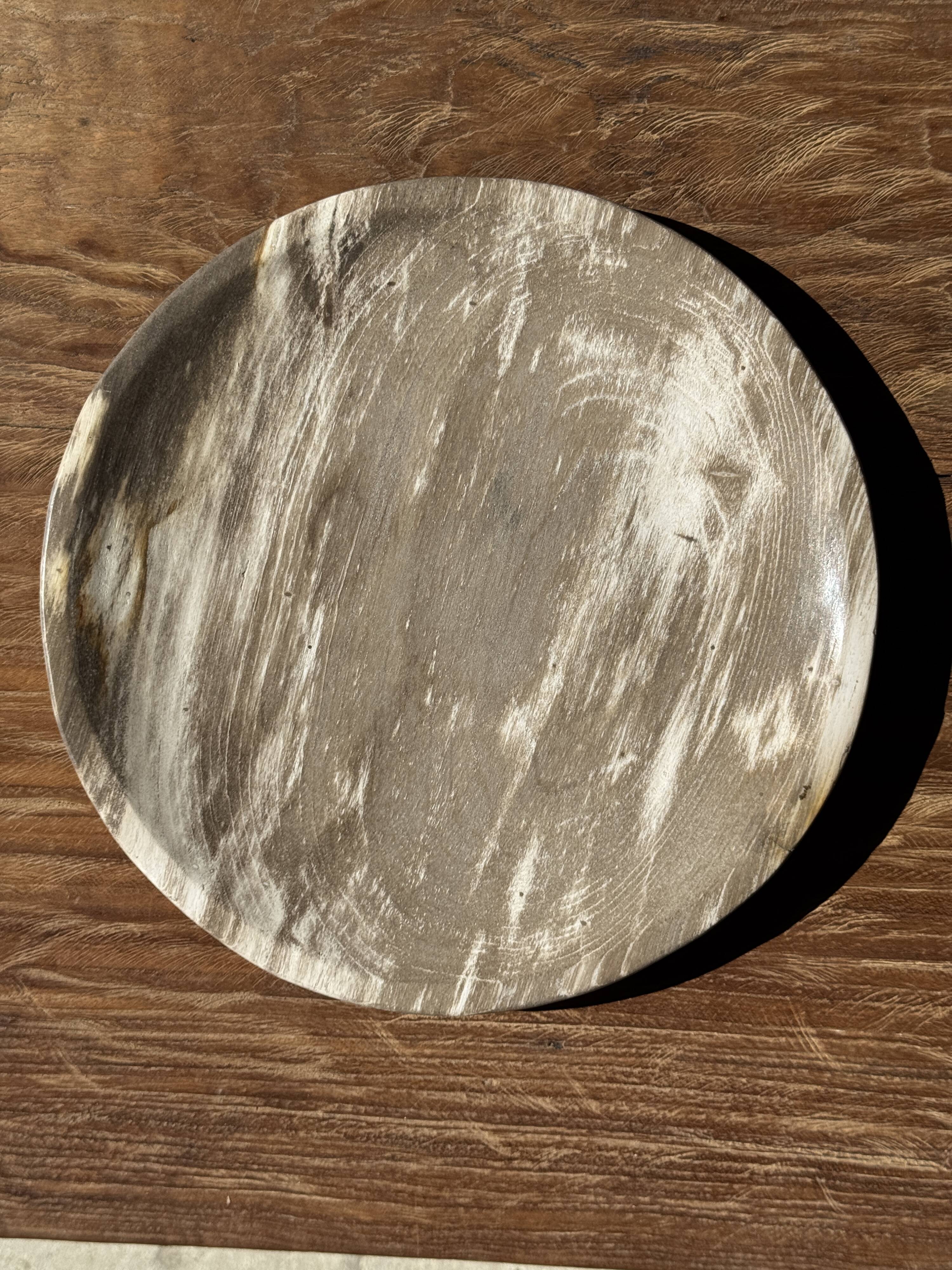 Petrified wood vide poche, circular dish or plate in light beige D25.
