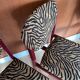 4 red lacquered zebra chairs