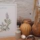 Botanical board Sage Officinale