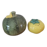 Barbotine salt and pepper shaker set