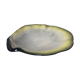 Vide poche coquille d'huitre par Pol Chambost