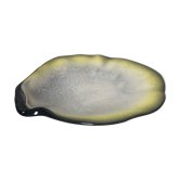 Empty oyster shell pocket by Pol Chambost
