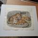 Gravure Daniel Giraud Elliot