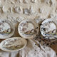 Polychrome ironstone dessert plates from Digoin and Sarreguemines.