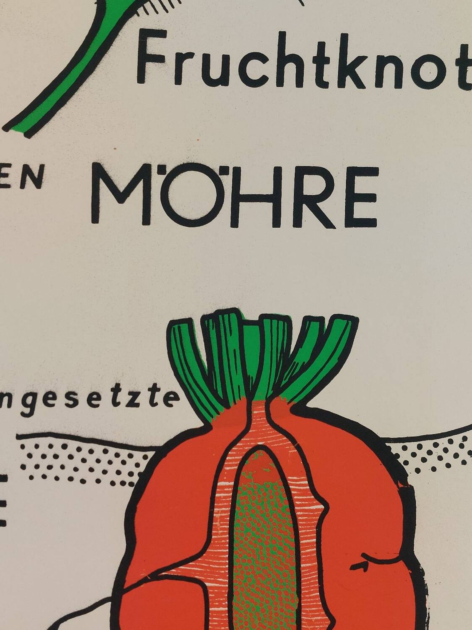 Affiche murale éducative vintage sur la biologie des plantes