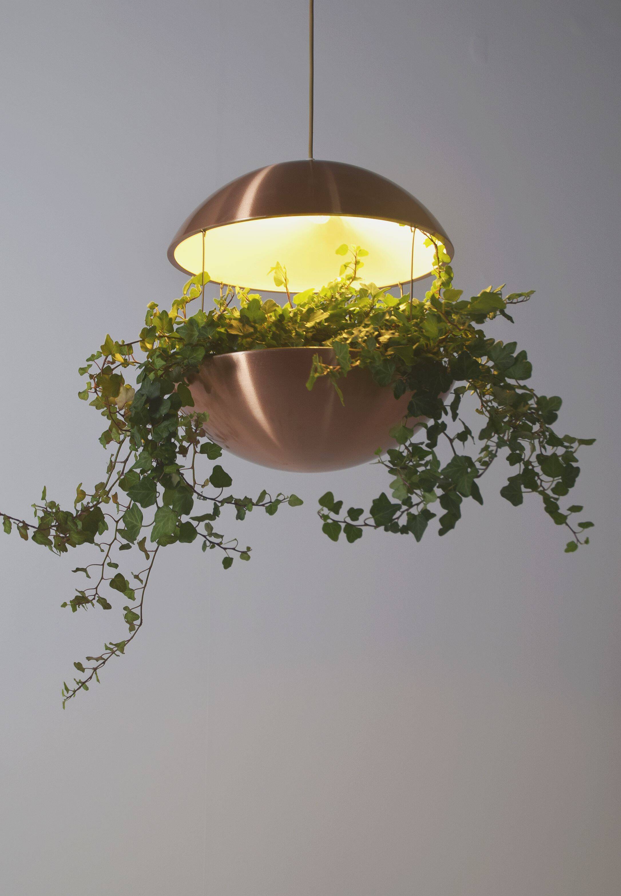 Danish plant holder with lighting by Poul Cadovius for Hans Følsgaard, '60