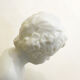 Pair of busts in biscuits