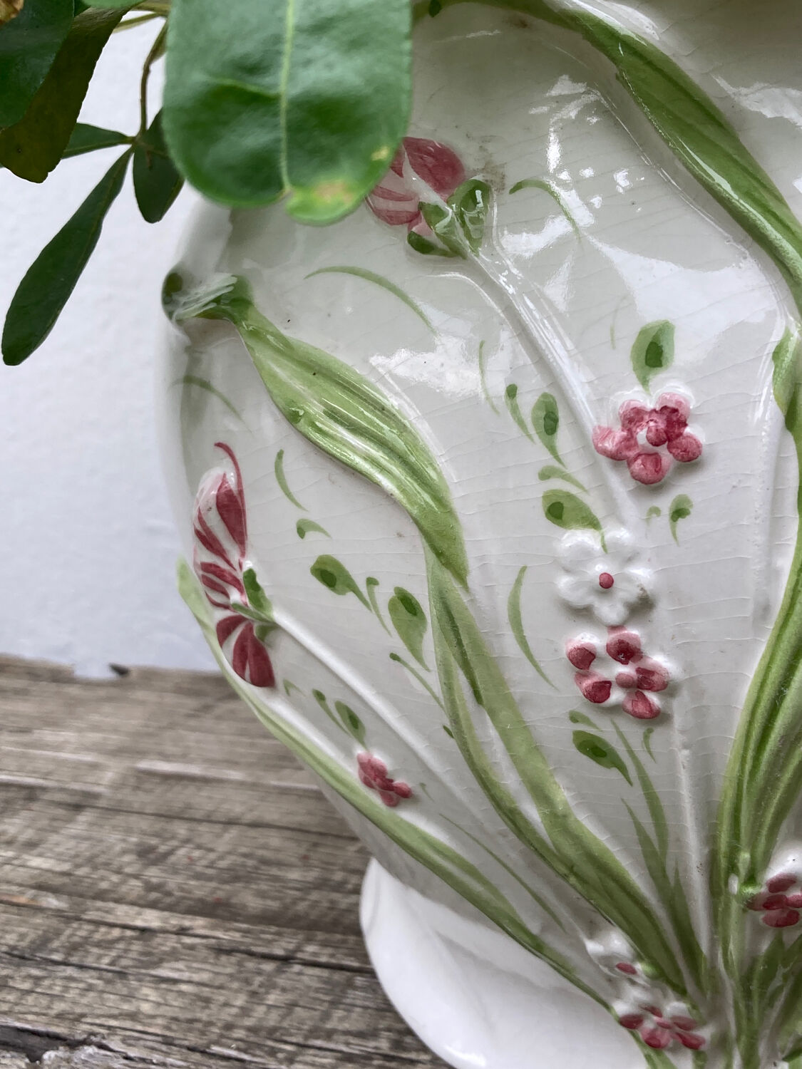White ceramic pot cache of flower slip and old green foliage