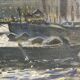 Painting venice by night oil on canvas j peters xixth century