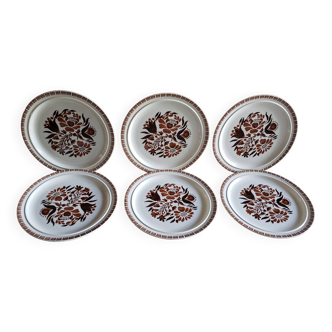 6 large plates with brown toned flowers