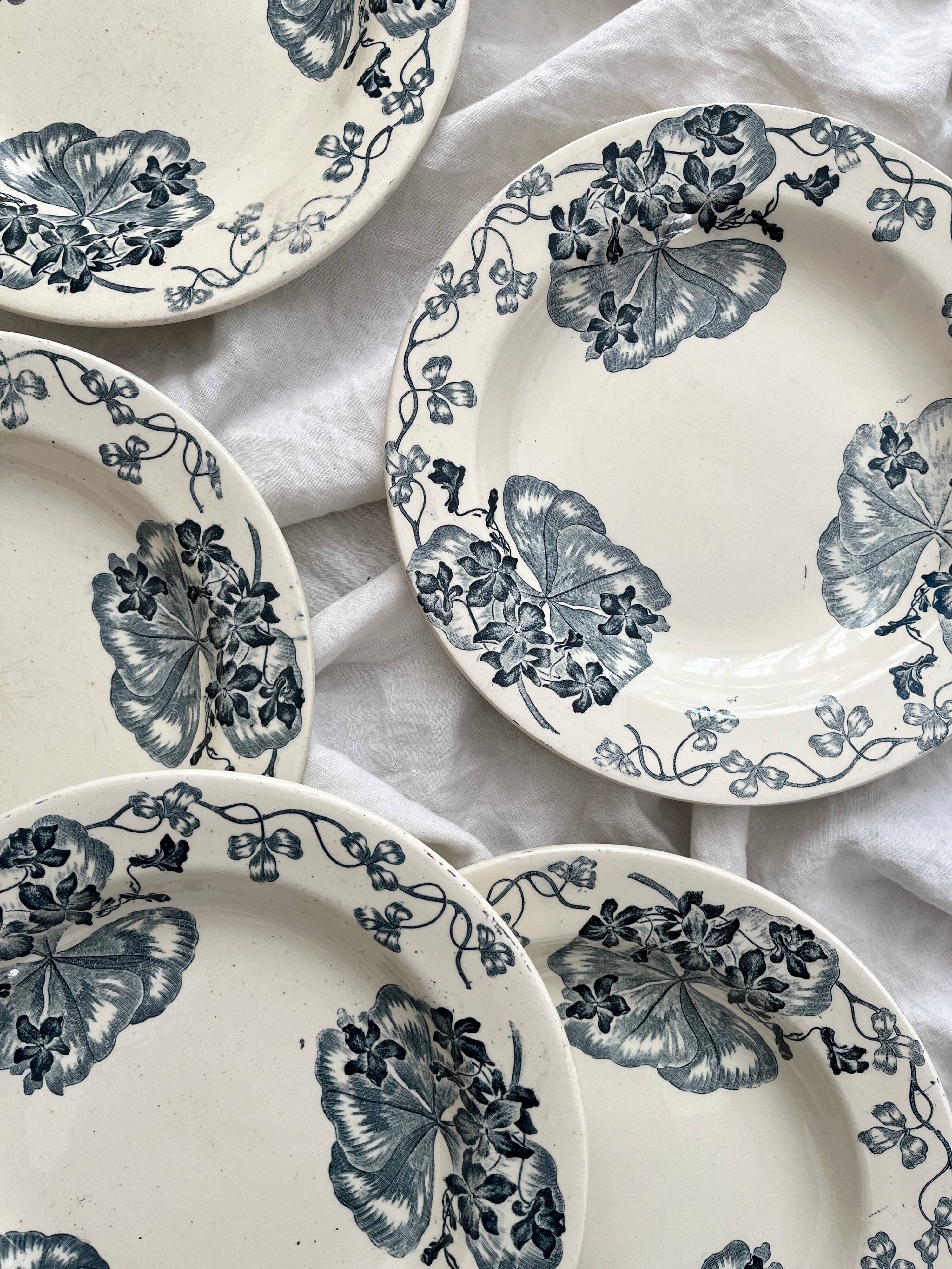8 ironstone soup plates "Les Violettes" Salins