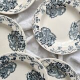 8 deep ironware plates "Les Violettes" Salins