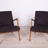 Type 300-138 Beech Armchairs from Bystrzyckie Furniture Factory, 1960s, Set of 2