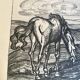 Horse engraving, 1950s, carved wooden frame with glass