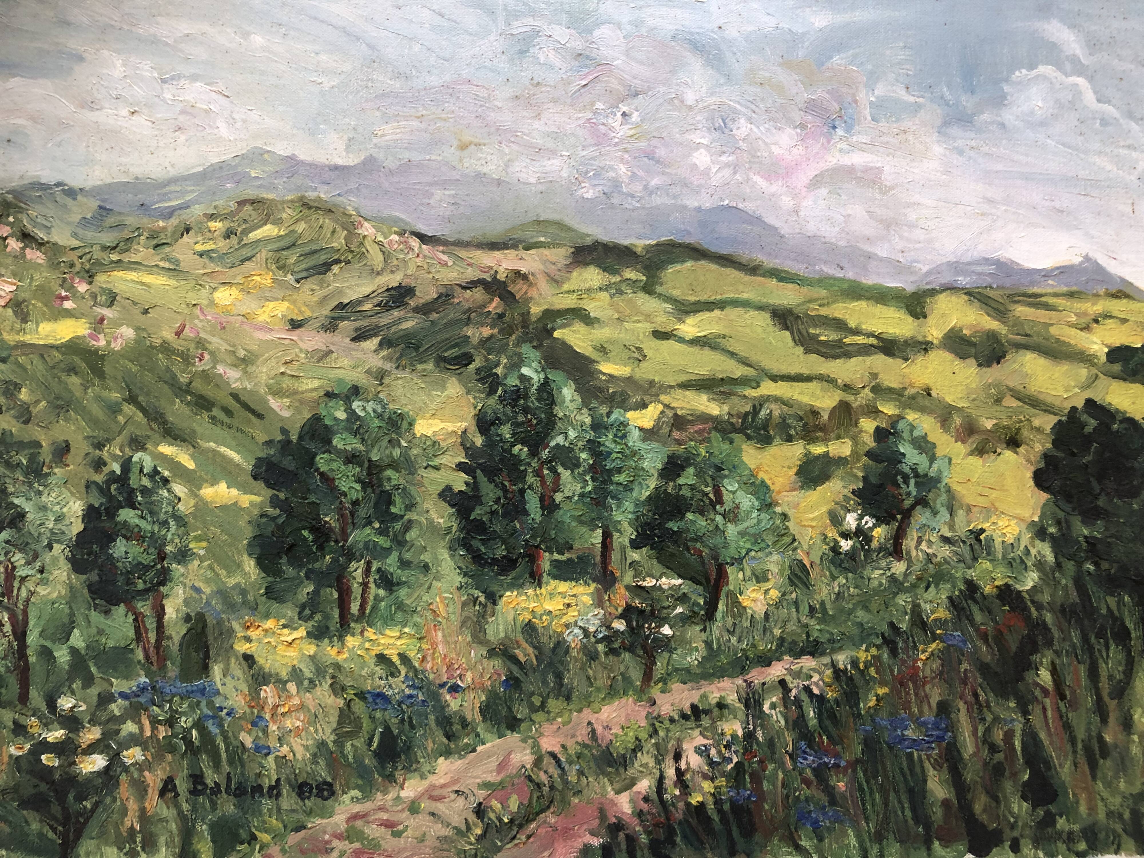 Oil on canvas pyrenees mountain landscape, signed a. baland 1988, unframed