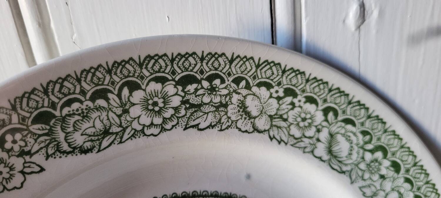 Pastoral decor earthenware dinner plates