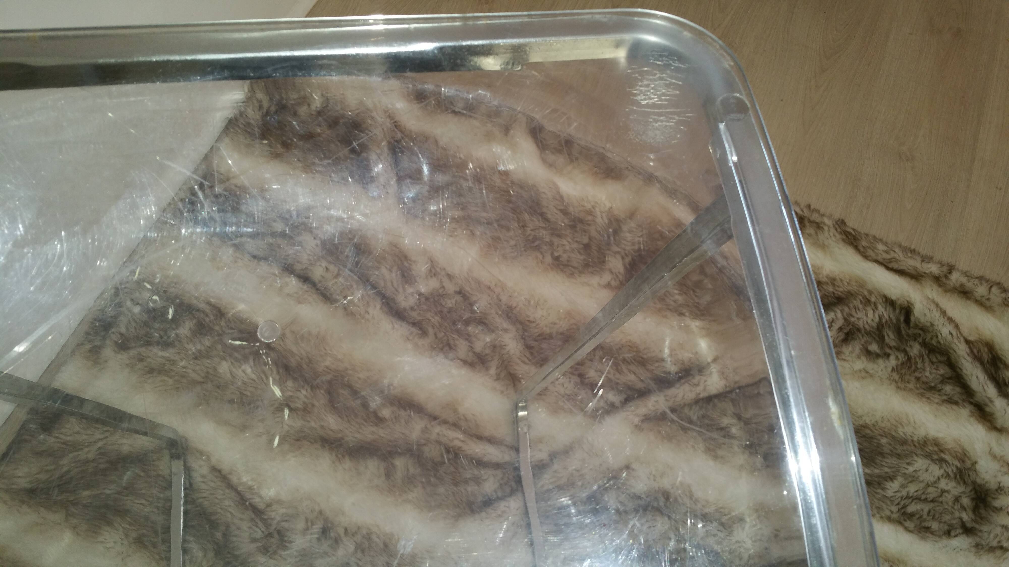 Tabouret Pedrali Arod 500