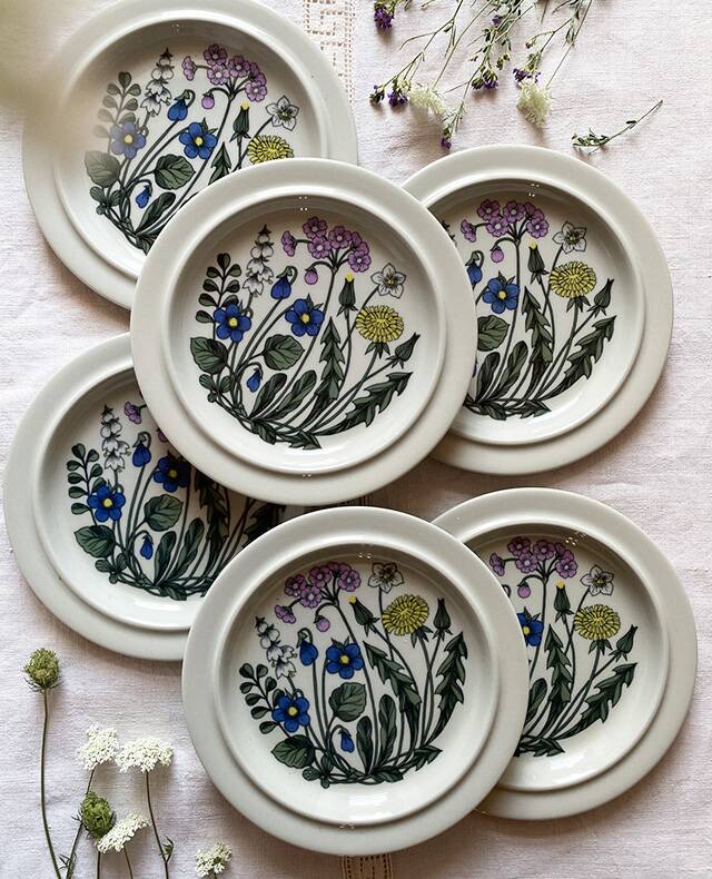 Flora flat plate service design Esteri Tomula