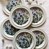 Flora flat plate service design Esteri Tomula