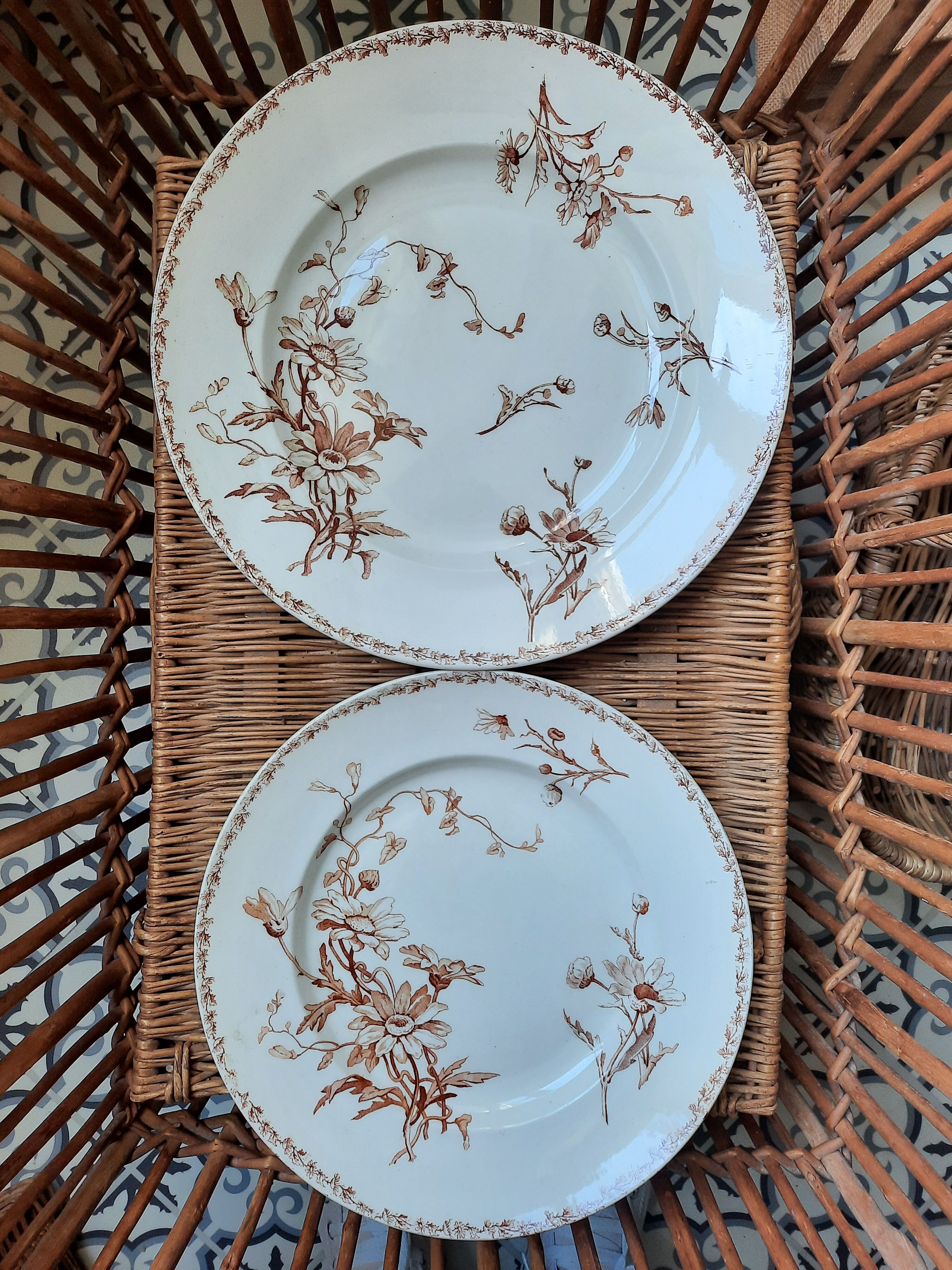 2 main courses Lunéville