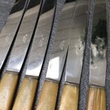 Set of 6 knives stainless blade bakelite sleeve