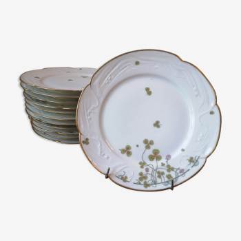 Twelve plates- Porcelain- Vierzon- Art Nouveau.