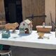 Lot de jouets anciens en bois de la ferme