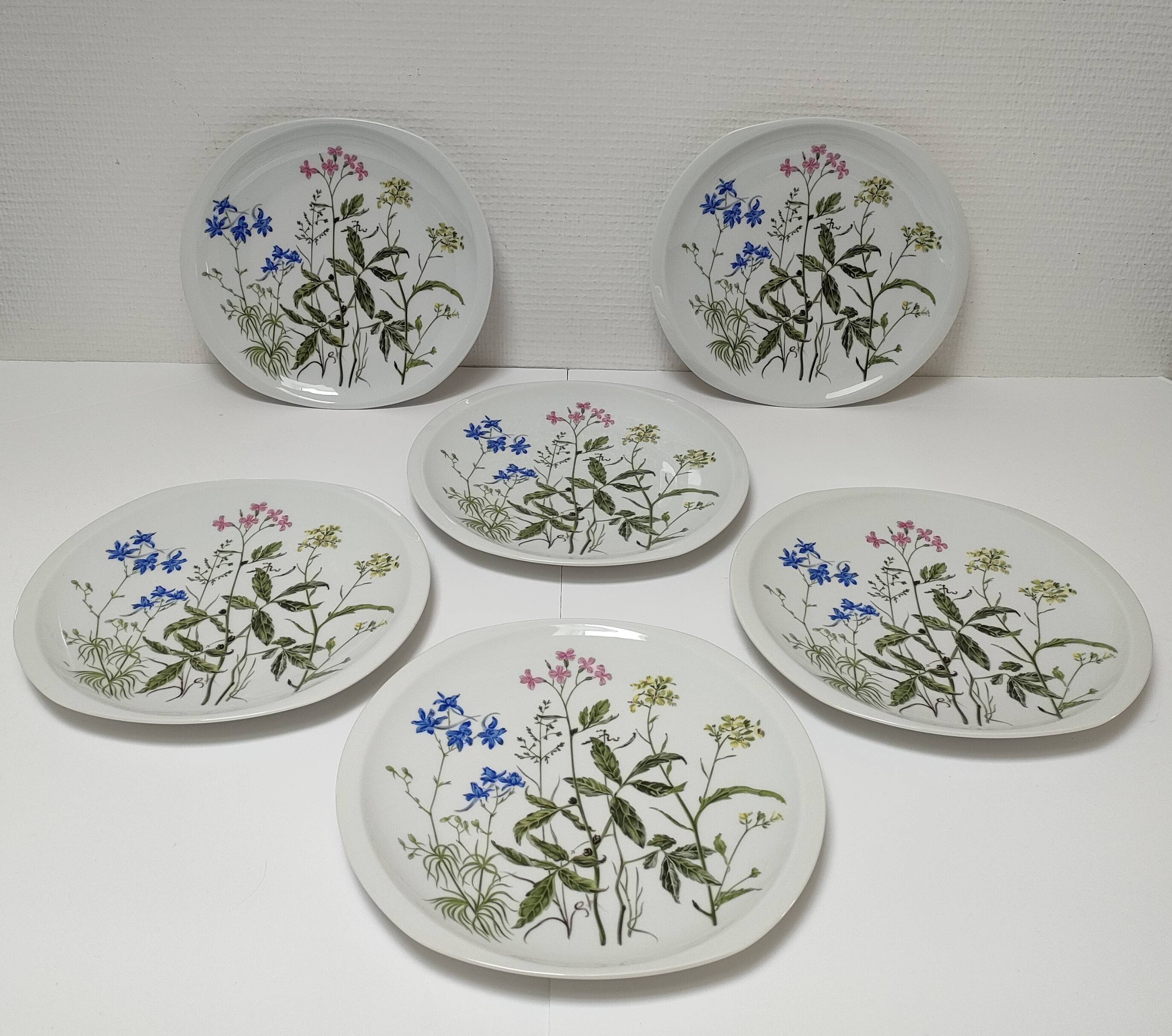 Six flat plates Alcée model porcelain Bernardaud Limoges floral decoration