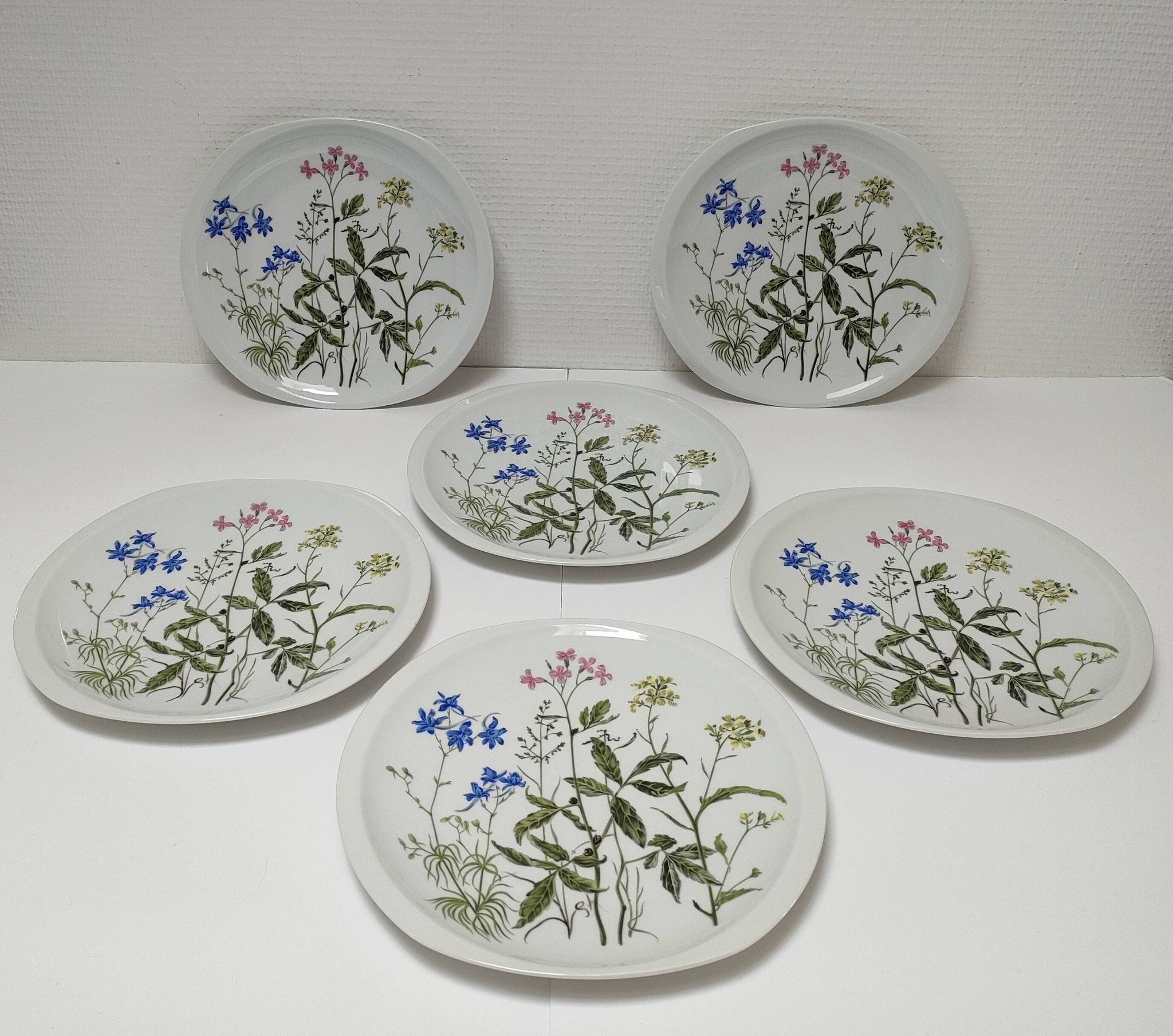 Six flat plates Alcée model porcelain Bernardaud Limoges floral decoration