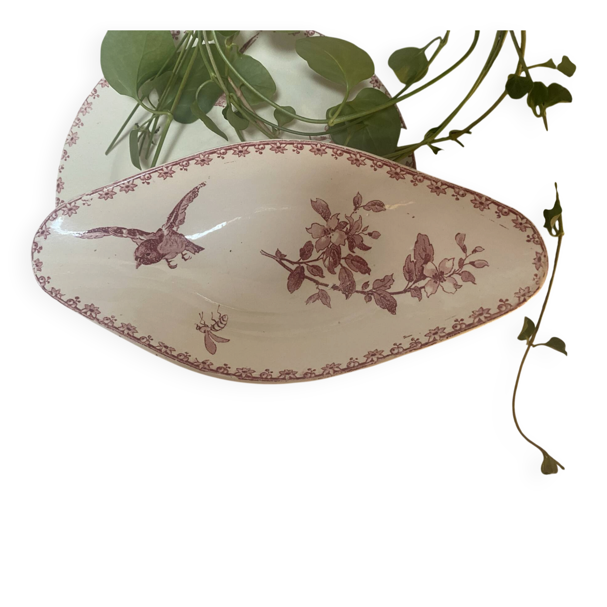 Ravier in ironstone, Favourite model from Sarreguemines.