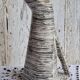 Graphic pitcher Salins service Bazas