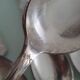 Set of spoons and forks for 8 people - Frionnet